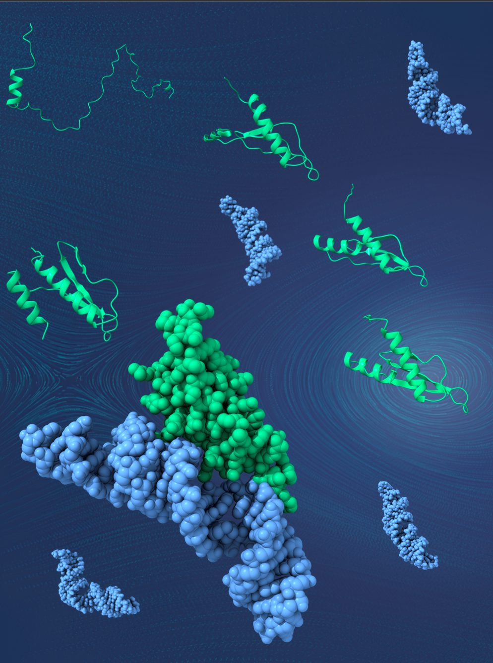 Structures of AlaRS and ThrRS editing domains