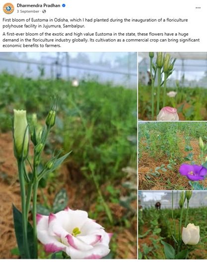 Decoding Ancient Earthquakes Using Sand and Light Decoding Ancient Earthquakes Using Sand and Light