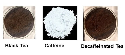 Tea in India: From Ancient Origins to Indigenous Decaf Innovation Tea in India: From Ancient Origins to Indigenous Decaf Innovation