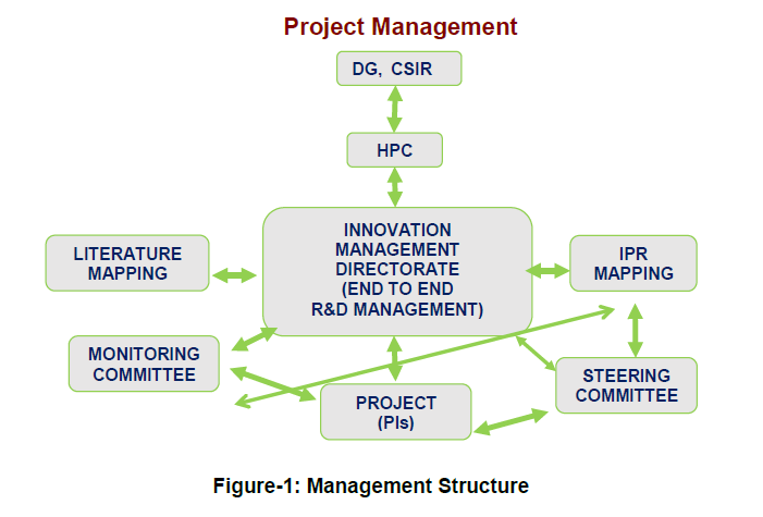 Management Structure