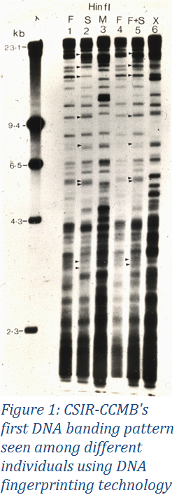 CSIR-CCMB's forst DNA branding pattern seen among different individuals using DNA fingerprinting technology