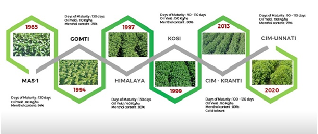 Indian Mint Success Story: CSIR-CIMAP contribution through improved varieties in the past three decades.