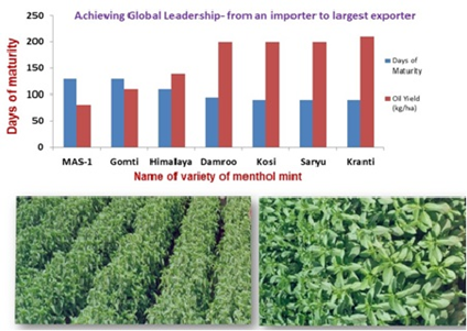 Zaid season between Ravi and Kharif