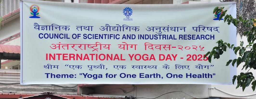 International Yoga Day 2025
