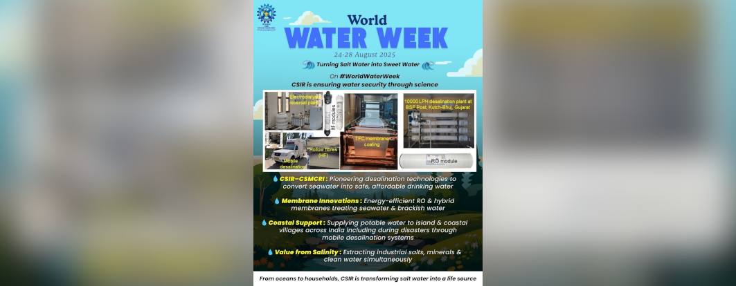 World Water Week