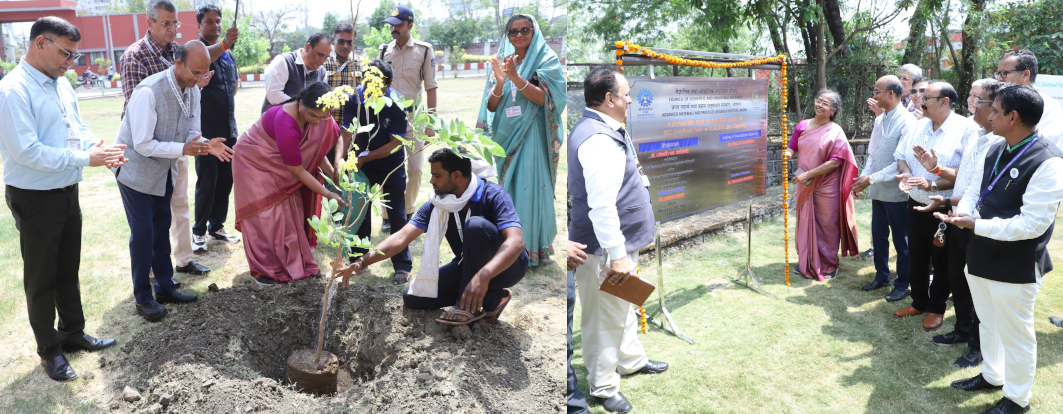 Dr. (Mrs.) N. Kalaiselvi, DG, CSIR & Secretary, DSIR, visited CSIR-AMPRI, Bhopal on May 12, 2026 on the occasion of National Technology Day & 46th CSIR-AMPRI Foundation Day