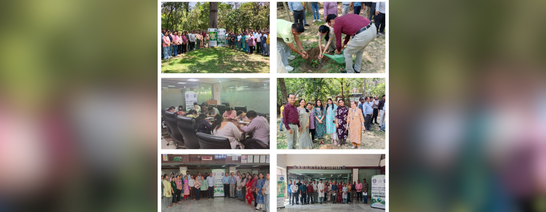 Celebration of Swachhta Pakhwada at CSIR-TKDL 