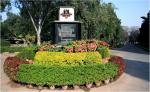 Indian Institute of Chemical Technology, Hyderabad