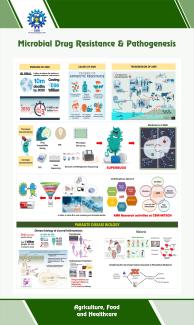  Microbial drug resistance & pathogenesis-min