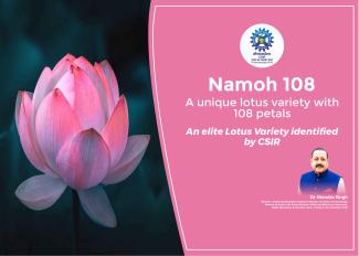 Namoh 108 Lotus