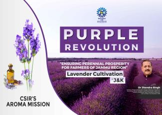 Purple revolution