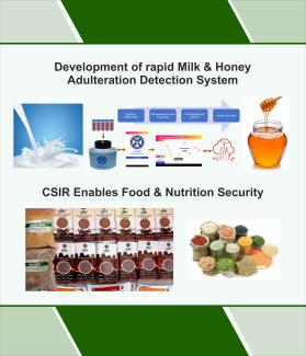 Rapid milk & honey adulteration detection system